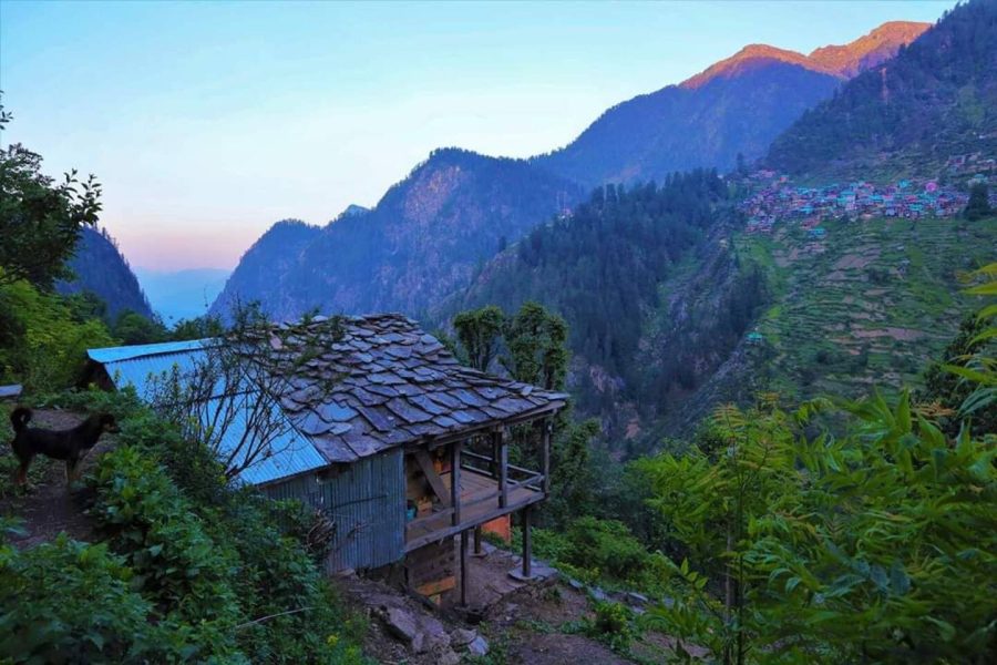 The Woods Cottage Malana